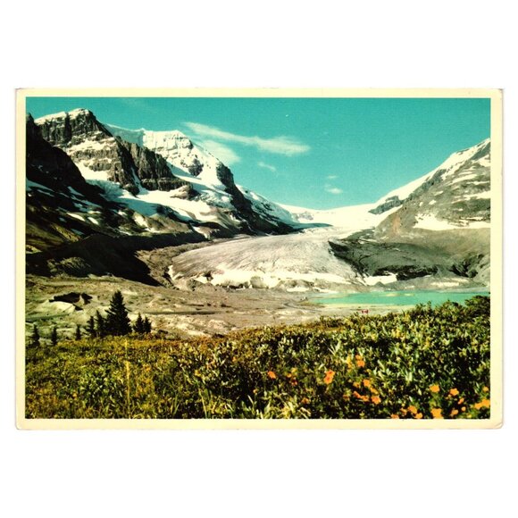 Vintage Canadian Rockies Postcard 1950s Athabasca Glacier Jasper National Park - Picture 1 of 2